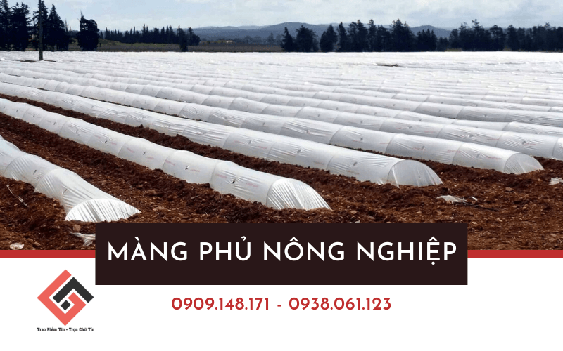 màng phủ nông nghiệp
